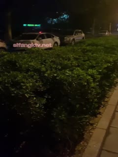 《重磅✅炸弹极限✅挑战》露出界天花板级别狂人!高颜苗条露脸骚人妻推特网红【潼潼】各种场景专门人前露出紫薇~对话淫荡